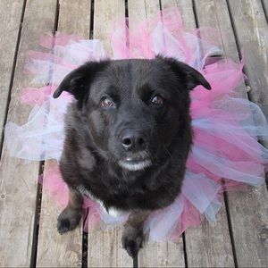 Meet your Posher, Tori